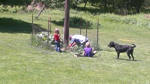 Gardening with Grandad