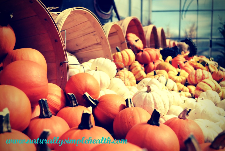branded-plethora-of-pumpkins